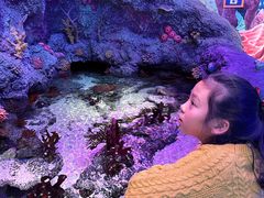 -沈阳海洋探索中心