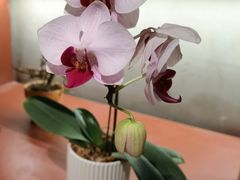 -二酉书店TOYOU BOOKS