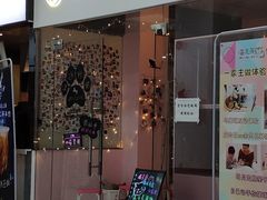 -三花喵·撸猫购宠·宠物生活馆(虹桥南丰城店)