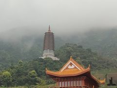 -深圳仙湖植物园