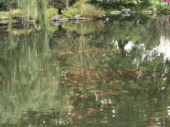 -西湖外事游船(花港观鱼码头)