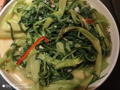 -羽鸽集·乳鸽专门店·地道顺德菜(岭南站店)