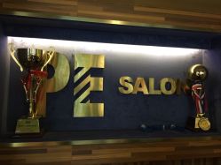 点击看大图 -PE SALON