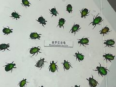 -青藏高原自然博物馆