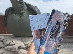 -广东惠东海龟国家级自然保护区