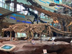 -安徽省地质博物馆