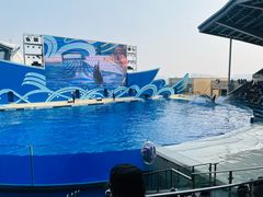 -上海海昌海洋公园