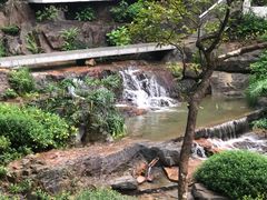 -广州市白云山风景名胜区