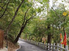 -大芦花风景区