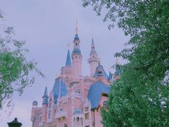 -迪士尼火鸡腿