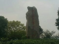 -帐篷客·溪龙茶谷度假酒店