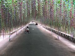 -尚庄度假村·庭台树下·户外烧烤·团建CS·轰趴营地(上庄水库店)