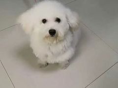 -联合动物医院(光谷诊疗中心)