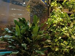 -香浙汇(望京店)