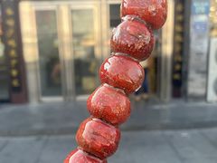 -糖葫芦王保定名吃(古莲花池店)