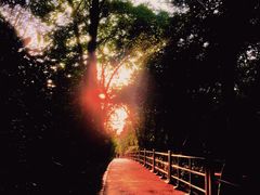 -广州市白云山风景名胜区