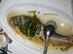 -老洋房花园饭店(绍兴路店)