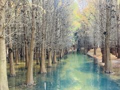 -捞渔河湿地公园