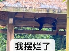 -黔灵山公园