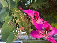 -必胜客(新辰里酒仙桥店)