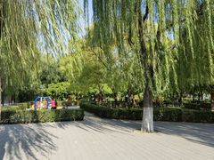 -莲花池公园