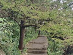 -崂山巨峰游览区