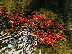 -水磨沟公园
