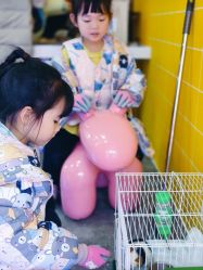 -神奇动物撸宠馆·羊驼·小浣熊·异宠(豫园店)