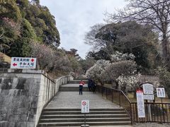 -成田山新胜寺