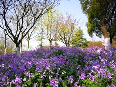 -白塘生态植物园