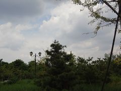 DSC08386-永定河休闲森林公园