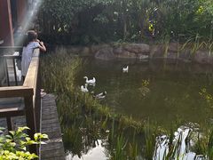 -西双版纳洲际度假酒店-海鲜傣味烧烤·侬香全日制餐厅