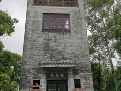 -大亚湾红树林城市湿地公园