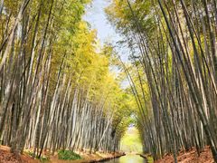 -同里国家湿地公园