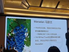 -王府半岛酒店