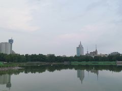 -莲花池公园