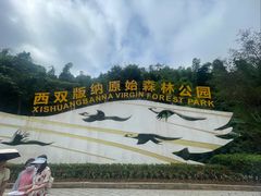 -西双版纳原始森林公园
