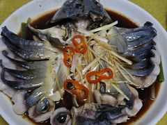 -煲来饱去冷水鱼