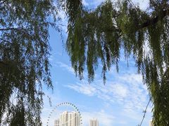 -西宁市人民公园(城西区)