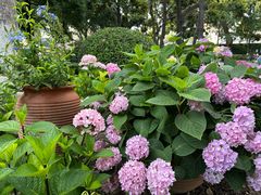 -常州古运河南大街文化旅游区-人民公园