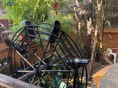 -园林美食城·本土农家菜(杨和镇店)