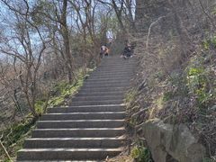 -紫金山山顶公园