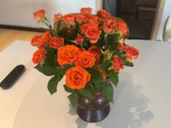 -大美母婴月子中心(馨乐庭店)