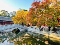 -香山公园
