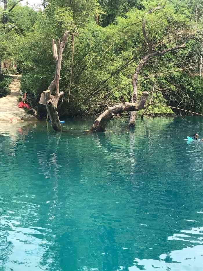 清水潭-"国内潜水爱好者的必打卡之地 疫情过后至."-大众点评移动版