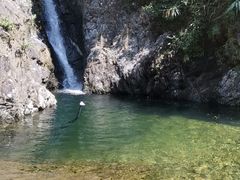 -梧桐山风景名胜区