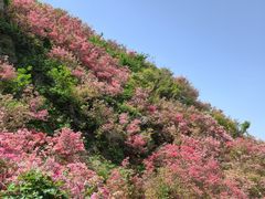 -木兰云雾山