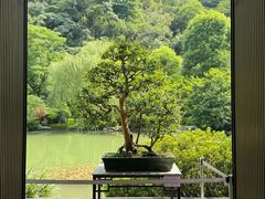 -云溪植物园