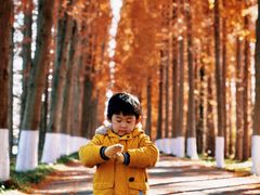 -黄海国家森林公园