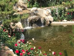 -静之湖湖畔餐厅